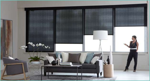 Drapery and Blinds - Cleaning Services - Carpet Cleaner New York